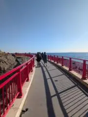 Alta(アルタ)の画像
