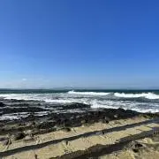 かせたつの画像