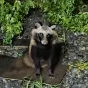 沼さん