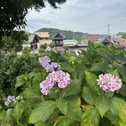 グリーンさんの画像