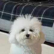 mmの画像