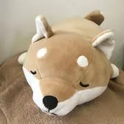みーの画像