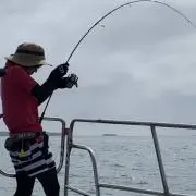 シーフロアコントロール チタンロゴフーディー パーカー - メルカリ