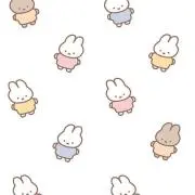 プロフ必読の画像