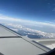 せいるの画像