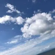 はるの画像