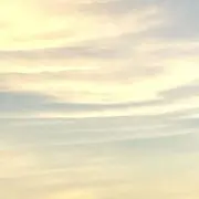 ちゃんの画像