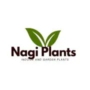 Nagi plantsの画像