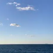 ふふ