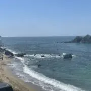 YOHの画像