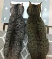 Kay☆Maruの画像