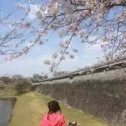 ひっぴーの画像