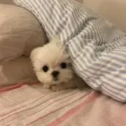 ♡♡の画像