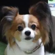 Rena ★プロフ必読★
