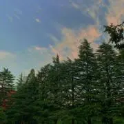 Shisuiの画像