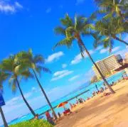 ニコ☺︎の画像