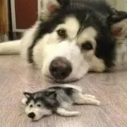 あい