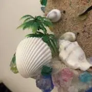 おーろら