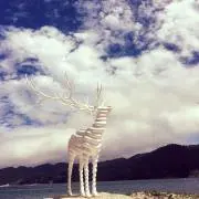 Uの画像