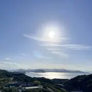 こでんげんの画像