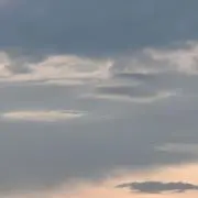 むんの画像