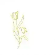 rn1223