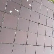 mykの画像
