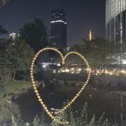 黒柴