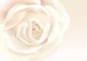 kei プロフィール一読お願い致します。の画像