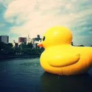 ヌーボーの画像