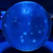 moguzoの画像