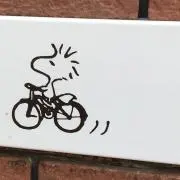 こんろんの画像