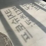 momoの画像