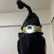 Zン 、の画像