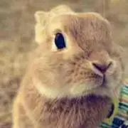 まぁの画像
