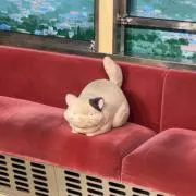 motoの画像