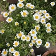 けいの画像