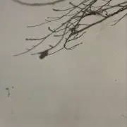 〉