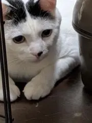 ᴍᴀᴍɪ