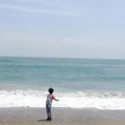 ひよ