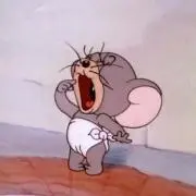 わたあめ ※コメント欄必読