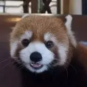 まるまるの画像