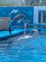 えーみの画像