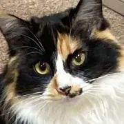 うさみるく