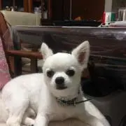 すずここ