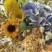 ななの画像