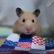 kuma