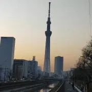 断捨離中/tennis634の画像