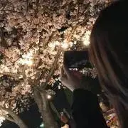 Mの画像