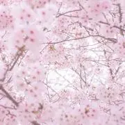 a◽︎値下げ交渉不可プロフ必読の画像